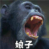 娘子啊哈搞笑情侣头像！14张超有意思的情头合集
