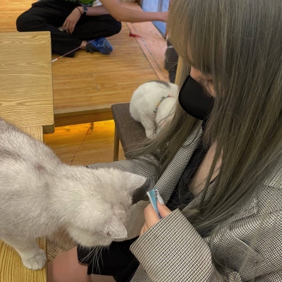 最新10组超好看专属情侣头像 快和对象安排上