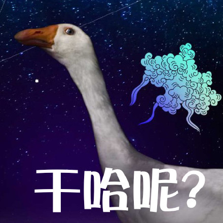 鹅鹅鹅表情包合集来啦！聊天斗图就用这个