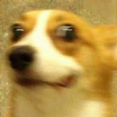 24张搞怪又上头！恶搞情侣头像一对两张高清图来了