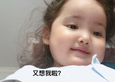 /08/26热门表情包原图合集
