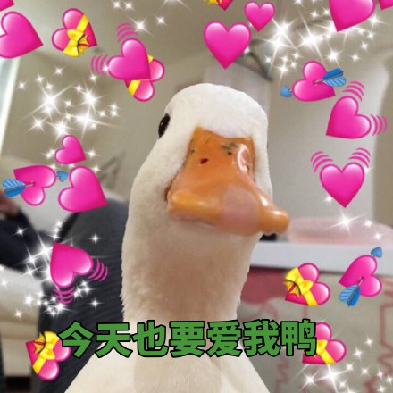 6月2日斗图表情包精选合集