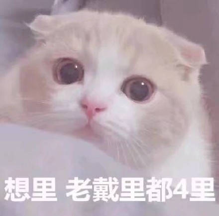 最近聊天斗图没素材？这份精选表情包快收好