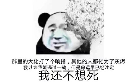 刷爆聊天框的熊猫头斗图表情包，这次的合集太全了