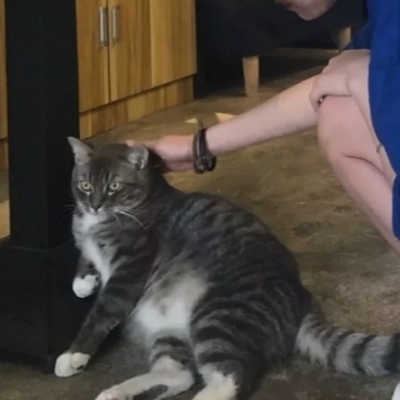 ins风真人情侣头像一左一右 16组合集