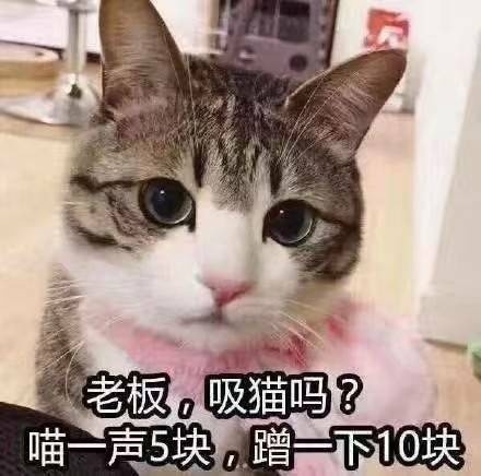 整理好的斗图表情包合集来了