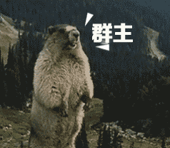 土拨鼠呐喊表情包 斗图必备素材合集