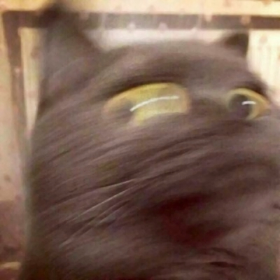 24张搞怪又上头！恶搞情侣头像一对两张高清图来了