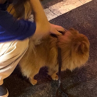 款双人专属微信情侣头像 共16组