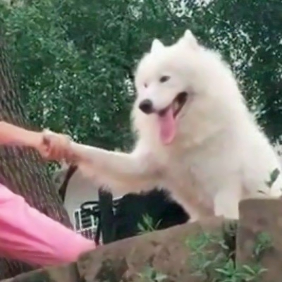 搞怪又逗趣！26组高清搞笑情侣QQ头像合集