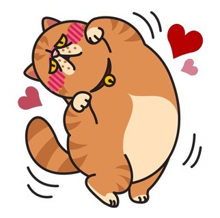 软萌胖胖猫咪表情包合集来啦