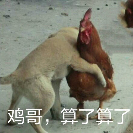 “XX哥，算了算了” 这套表情包火了