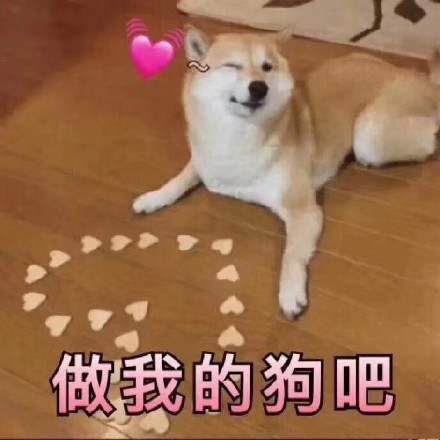 快存！近期超火的斗图表情包都在这了