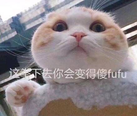 聊天斗图不用愁！这套表情包直接封神