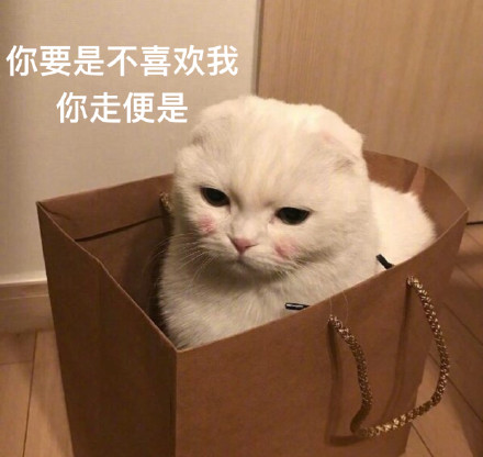 9月7日热门斗图表情包合集