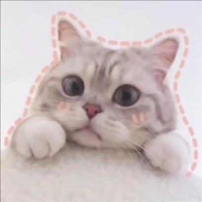 抖音爆火的可爱猫咪情侣头像，26张高清图直接抱走