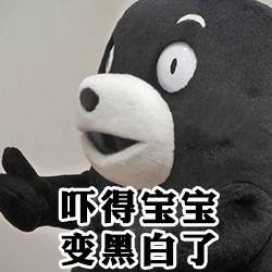 熊本熊发出“请问可以看下你的胖次吗？”的趣味提问