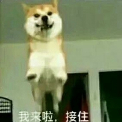 24张搞怪又上头！恶搞情侣头像一对两张高清图来了