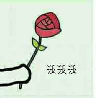 送花花表情包来啦！不接受就当小狗哦