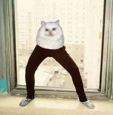 9月1日热门表情包原图合集来了