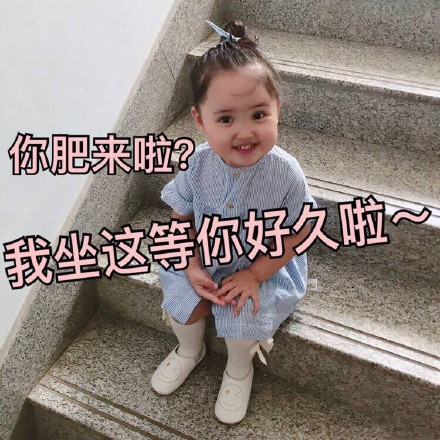 8月23日热门斗图表情包合集