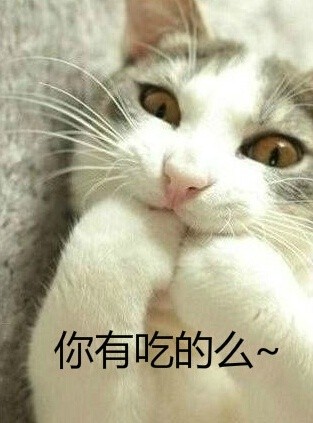 萌宠版“hi小婊砸”表情包合集 斗图党速存