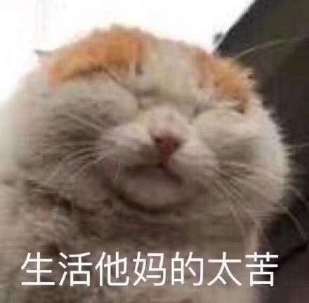 6月15日斗图表情包原图精选合集