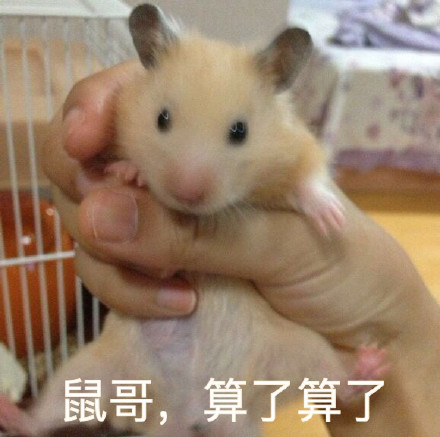 “XX哥，算了算了” 这套表情包火了