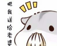 超萌仓鼠表情包合集，聊天斗图必备