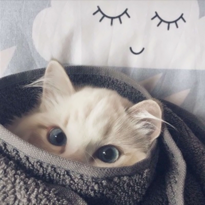 QQ可爱情头一对两张！14张高清可爱情侣头像合集