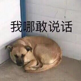 11月9日斗图表情包合集来了