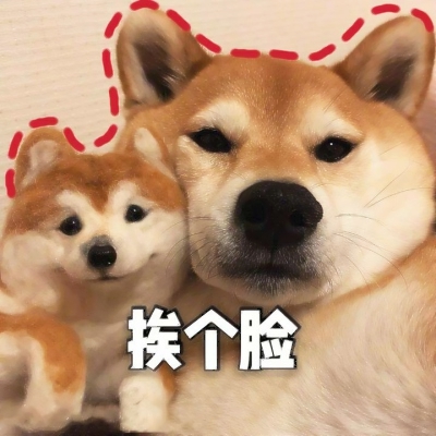 搞怪动物情侣头像来啦！带字创意款共12张高清图