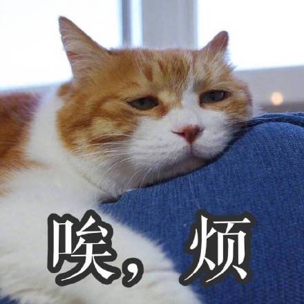 满脸写着高兴的反差感表情包来啦