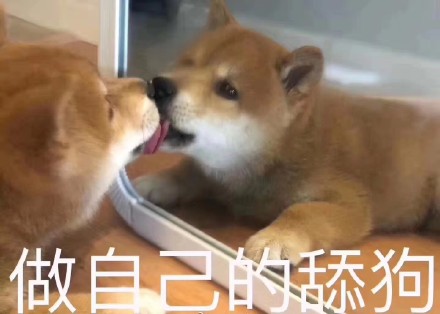 10月26日斗图表情包精选合集