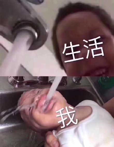 11月28日热门斗图表情包合集来了