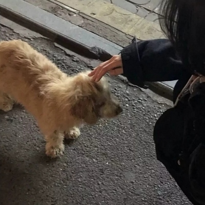 最新微信情侣真人头像 一共20张