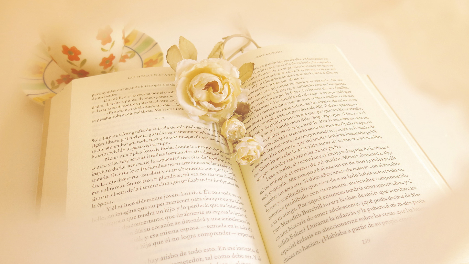 书本鲜花氛围感电脑桌面壁纸 高清唯美款来了