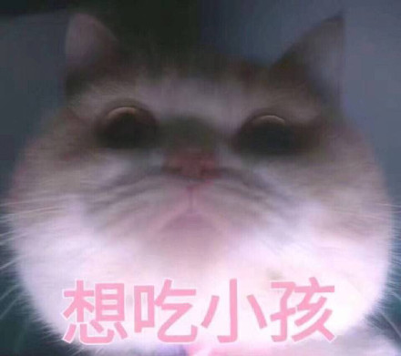 底热门无水印斗图表情包合集