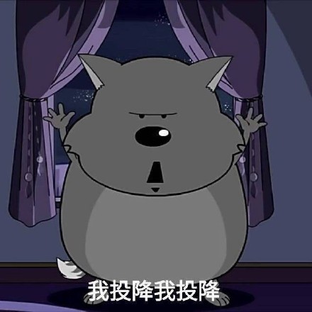 8月14日斗图表情精选合集