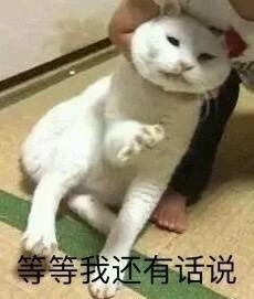 9月26日斗图表情包合集更新