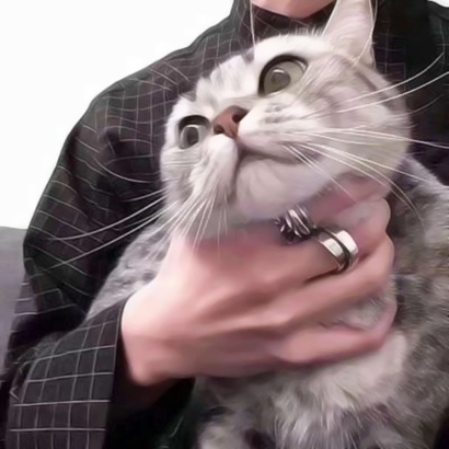 超萌情侣猫猫头像来啦！16张高清可爱一对小猫头像图