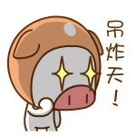 帽帽猪“滚粗”表情包来啦！