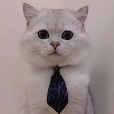 不想公开的单人情侣头像一人一张 20组合集来了