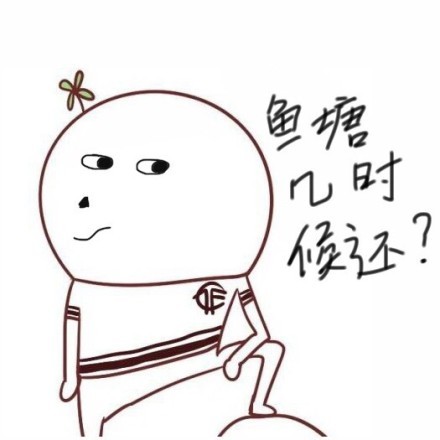 你丁丁大吗？表情包合集来啦