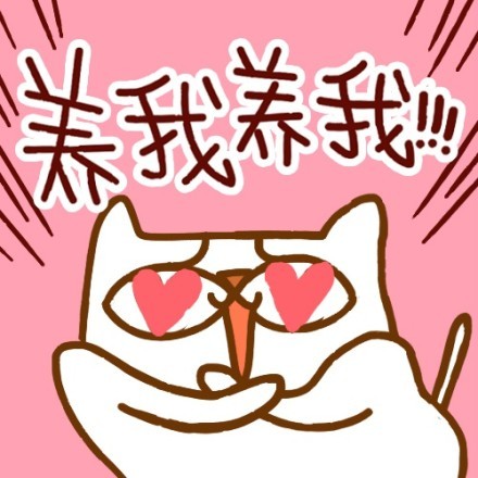 超实用好运喵表情包合集来啦