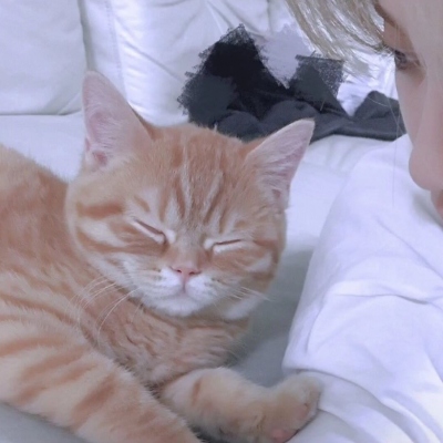 “女友不是人”系列情侣头像 高清16张合集