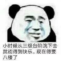 1月1日斗图表情包精选合集