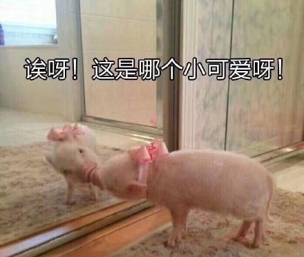 7月22日斗图表情精选合集