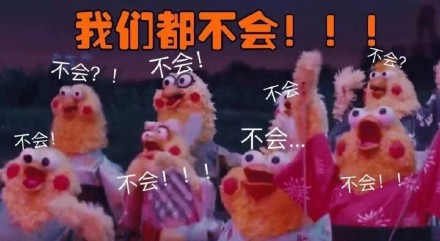 这套鹦鹉兄弟表情包火了！“你的良心不会痛吗”怼人斗图超好用