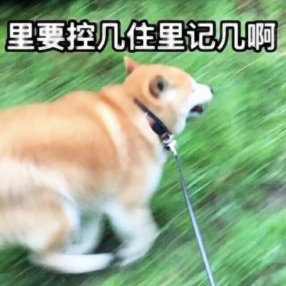 13组搞笑沙雕情侣头像合集 26张高清图随便用